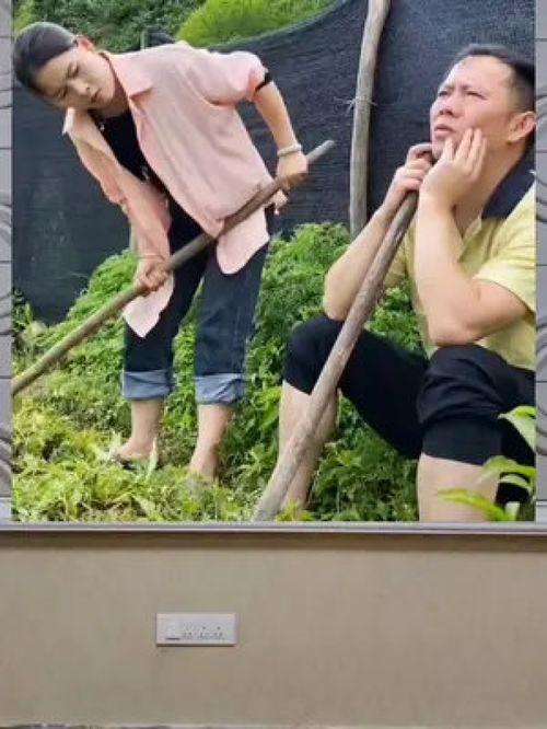 吃瓜的群众 娱乐八卦,揭秘“吃瓜群众”热追的娱乐八卦